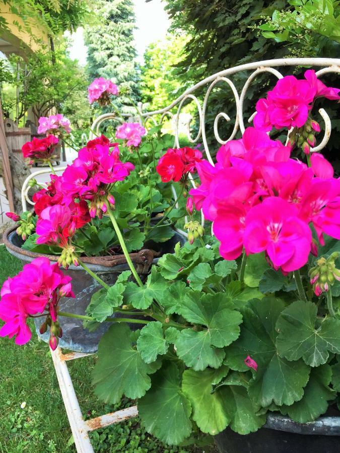 La Casa Di Gabri Bed & Breakfast Iseo Exterior photo